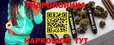 гидропоника Можга
